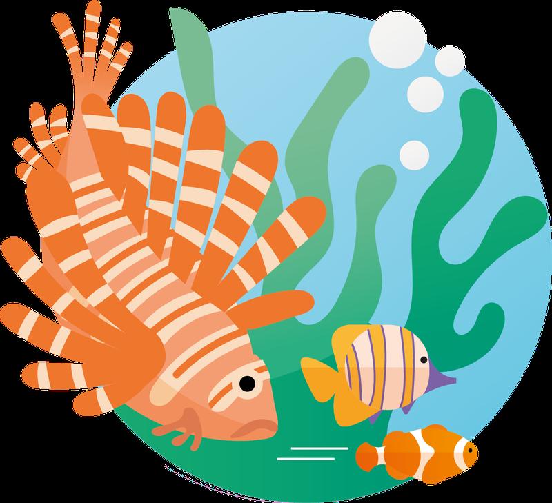 If invasive species - such as the lionfish in the Atlantic - are not a major problem in the respondents' countries, the respondents tended to underestimate their significance for biodiversity loss. 