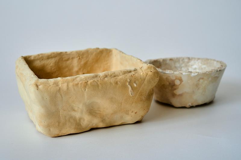 Sustainable and biodegradable: packaging made from mycelium