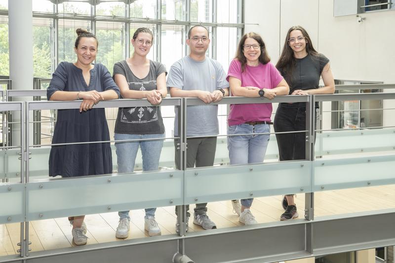 Neues Gen für „Spindelhaar“ entschlüsselt: (v. li) Dr. Buket Basmanav, Nicole Cesarato, Xing Xiong, Prof. Regina Betz und Yasmina Gossmann finden im Keratin 31-Gen ursächliche Mutationen für die dominant-vererbte Form der Monilethrix