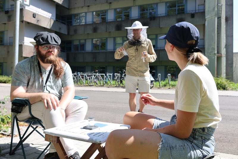 Das Forschungsteam beobachtet die Bienen, die die Futterquelle anfliegen.