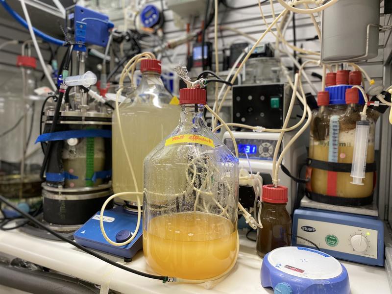 The two-step bioreactor system which was used to produce yeasts enriched with proteins and vitamin B9.