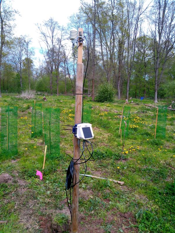 A climate measuring station is connected to a temperature and moisture sensor at a height of 2 metres. Cables lead down to a sensor at a depth of 10 cm and a sensor at a depth of 50 cm, each measuring the soil temperature and moisture. T