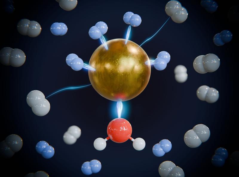 Illustration of the preferential binding of heavy hydrogen (blue) to light hydrogen (white) at the metal centre, activated by the binding of a water molecule (oxygen red, hydrogen white).