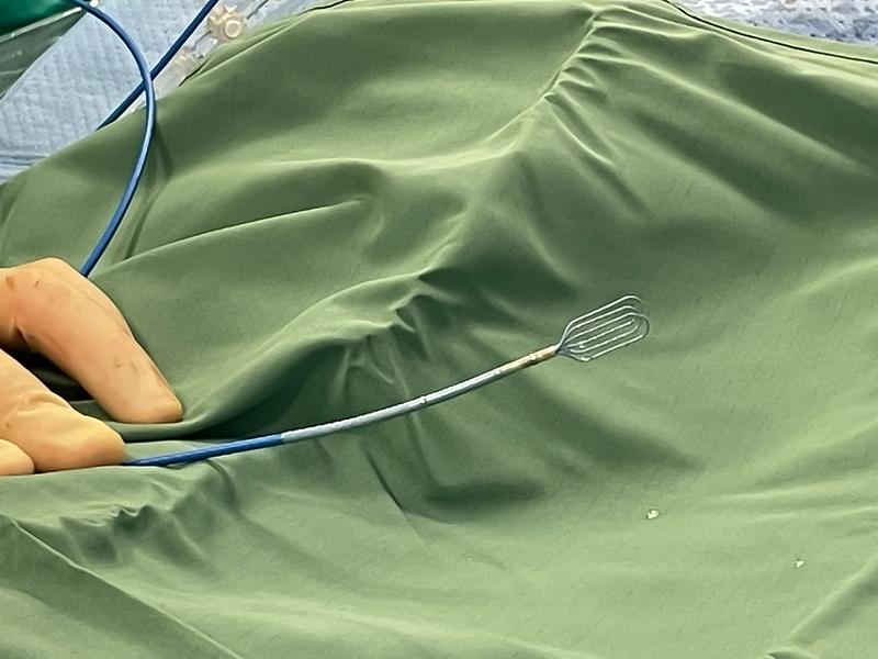 The Optrell mapping catheter.