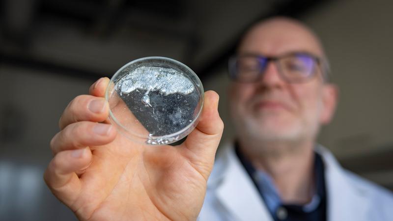 Dr. Tobias Rüffer hält in der Hand eine Petrischale mit dem Metall Gallium, welches bereits bei etwa 30°C schmilzt. 