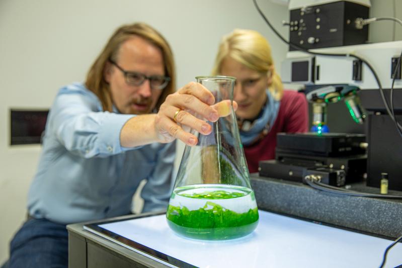 Constanze Schultz (right) from Leibniz IPHT and Dr. Thomas Wichard from the University of Jena use Raman spectroscopy to study the growth of the green alga Ulva.