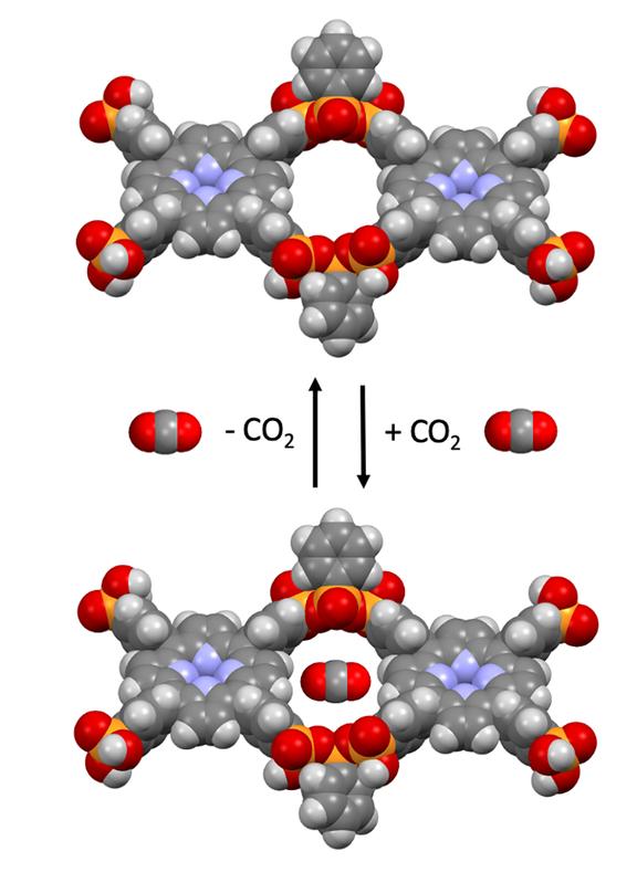 On the basis of phosphonic acid, the research team has developed a stable covalent organic framework, which is capable of capturing carbon dioxide (CO2).