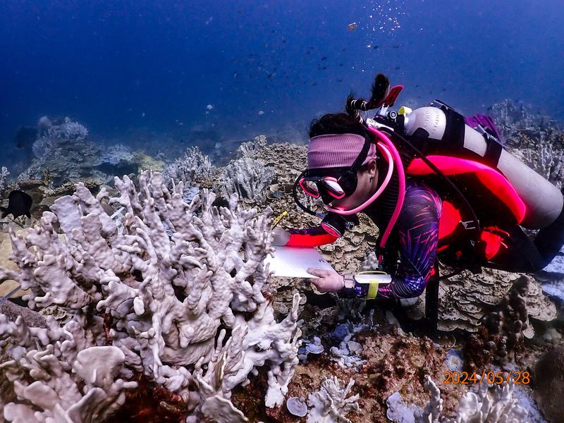 Wissenschaftlerin Febrianne Suki bewertet das Ausmaß der Korallenbleiche. Sie ist Mitglied der Organisation Coralku, Malaysia, die sich mit der Wiederherstellung von Korallenriffen befasst.