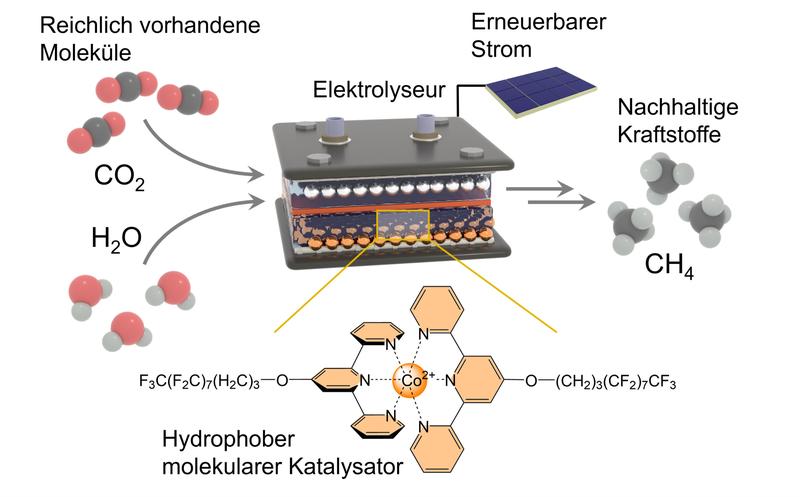 Der hydrophobe Katalysator (unten) hält die H2O-Moleküle im Elektrolyseur (oben) vom aktiven Zentrum fern. Zugleich entreißt er Wasser Wasserstoff-Atome und schafft diese zum aktiven Zentrum, wo sie mit Kohlenstoff zu Methan reagieren. 