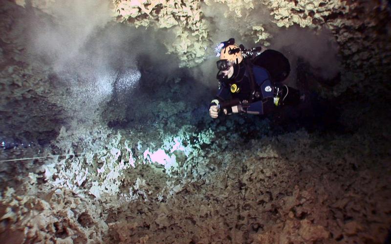 ive in the cenotes: The researchers collect the underwater crab Xibalbanus tulumensis, which only occurs here.