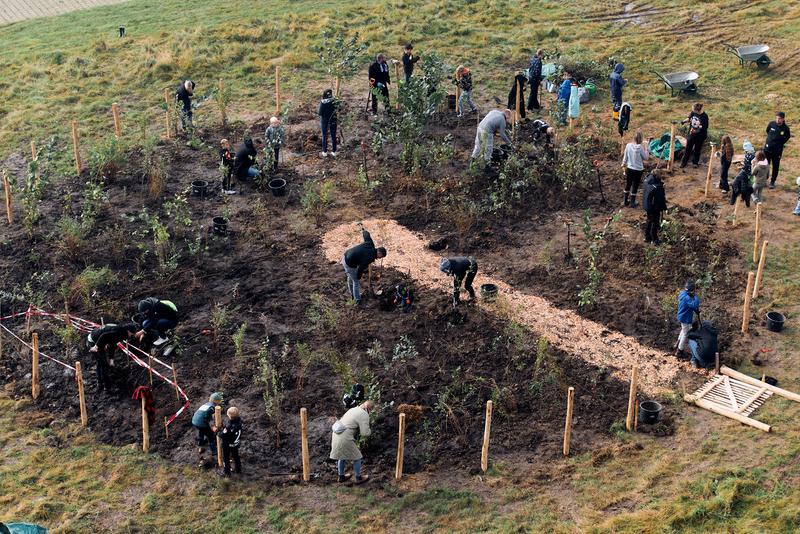 Tiny Forest an der HSBI: Zahlreiche Helferinnen und Helfer pflanzten am Samstag gemeinsam rund 600 junge Bäume auf dem Campus.