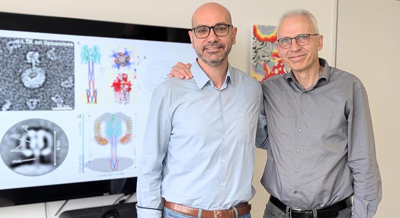 The corresponding authors of the study: Prof Christos Gatsogiannis (left) and Prof Andreas Heuer