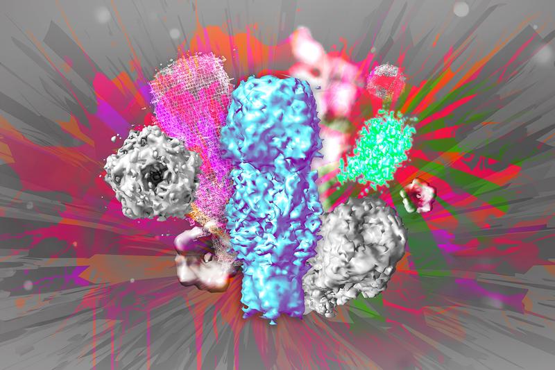 Artistic impression of the first protein structure of the GABAA receptor solved by ONE microscopy.