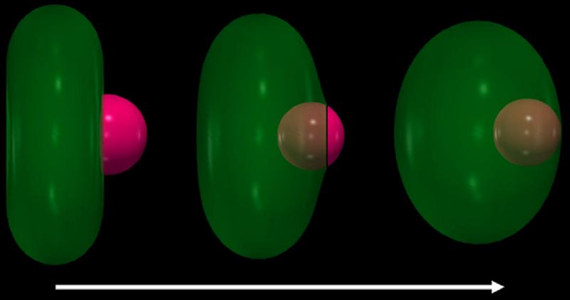 Simulation eines biomolekularen Kondensats (pink) welches eine biologische Membran (grün) benetzt. Durch Kapillarkräfte dringt das Kondensat in die Membran ein und spaltet schließlich ein kugelförmiges Stück der Membran ab, welches das Kondensat umhüllt. 