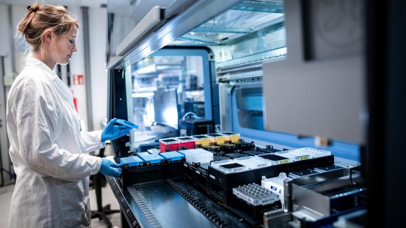 Studie zum Insektenmonitoring: Labormanagerin Charlotte Frie bedient den Analyse-Roboter.