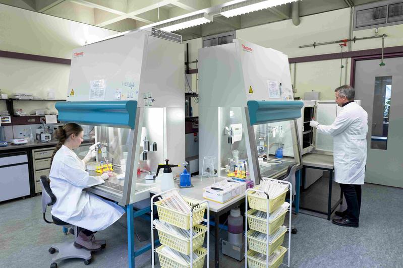 Dr. Stefanie Michaelis and Prof. Dr. Joachim Wegener cultivating insect cells in the laboratory