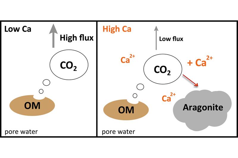 Calcium vermindert CO2-Ausstoß aus arktischen Böden durch Mineralbildung 