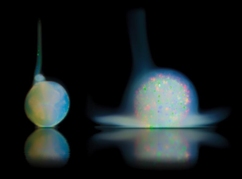 A colloidal suspension directly after being added to a suspension medium and 5 seconds later, after crystallization has occurred. A spherical polycrystalline ball forms that exhibits a vivid play of color on its surface but otherwise remains opaque.