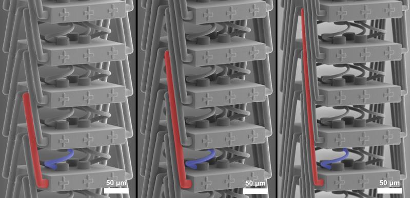 Das neue Metamaterial unter dem Rasterelektronenmikroskop: Eine spezielle Struktur (rot) ermöglicht neue Dehnungseigenschaften. 