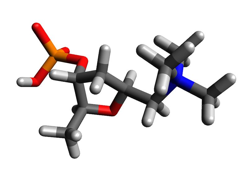 Chemische Struktur von 4'-Phosphomuscarin