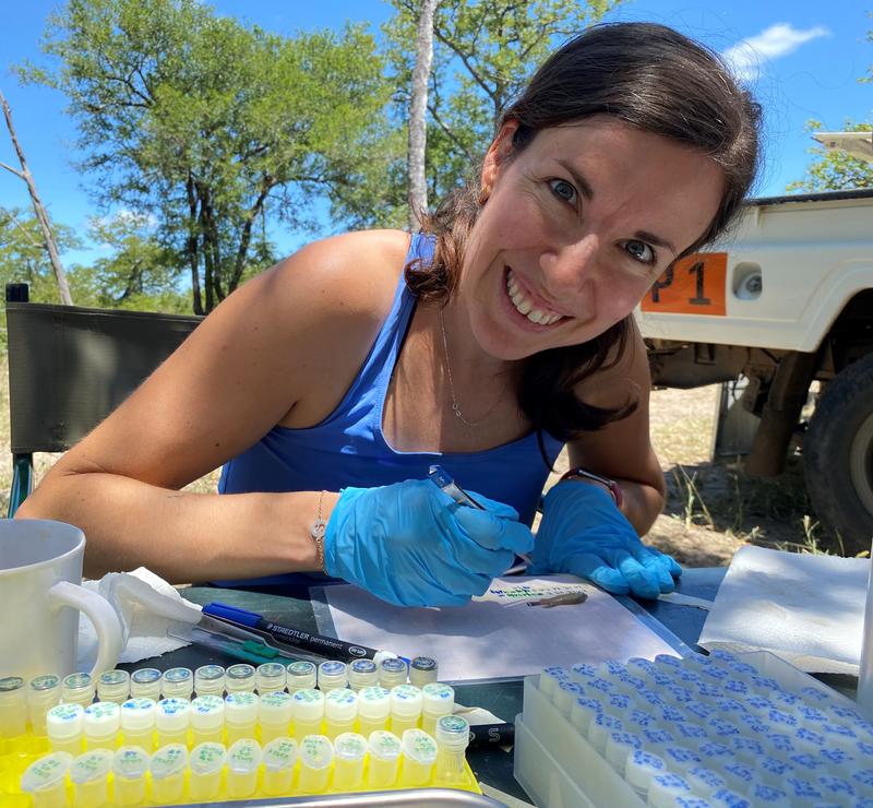 Dr. Silvia Cattelan bei Forschungsarbeiten im Gonarezhou Nationalpark in Zimbabwe. (Foto: privat) 