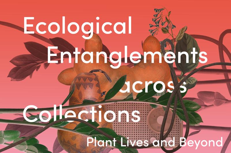 4A_Lab Academy "Ecological Entanglements across Collections – Plant Lives and Beyond"