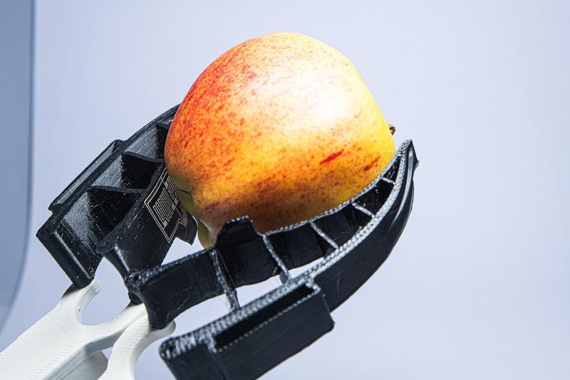 In future, robotic grippers with haptic capabilities will be able to grab and sort apples and other fruit more gently. The gripper developed in the BioGrip project adapts to the apple’s shape.
