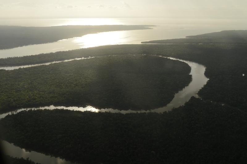 Der Amazonas-Regenwald und die Amazonasregion sind Ökosysteme, die auf sich verändernde Niederschlagsmuster reagieren. 