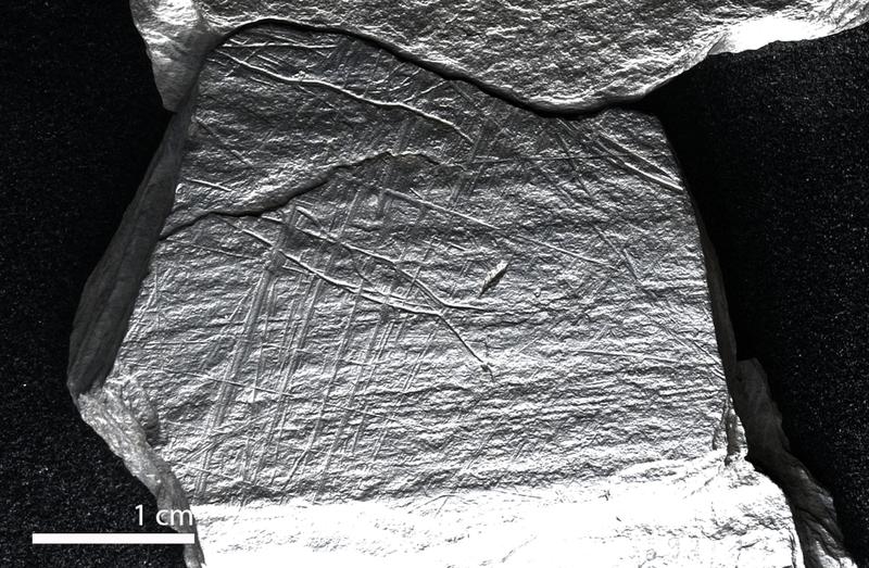 An ancient schist plaquettes from the ice-age camp site of Gönnersdorf depicts a fish trap. The fish was first engraved and then overlaid with a net of lines. 