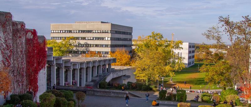 Hervorragende Platzierungen für die Universität Regensburg im Global Ranking of Academic Subjects. 