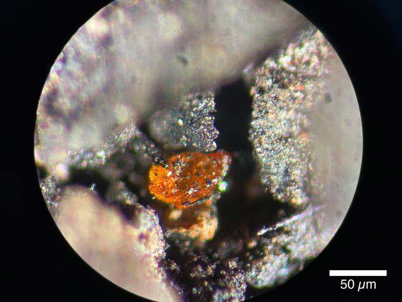 Macrograph of an approximately 70 µm amber extracted from the lignite in the sediments of the MeBo core PS104_20-2 9R.
