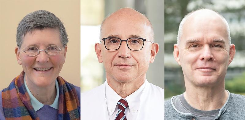 Dr. Dr. Kelly Del Tredici, Prof. Hartmut Döhner und Prof. Frank Kirchhoff (v.l.) gehören zu den „Highly Cited Researchers 2024“  