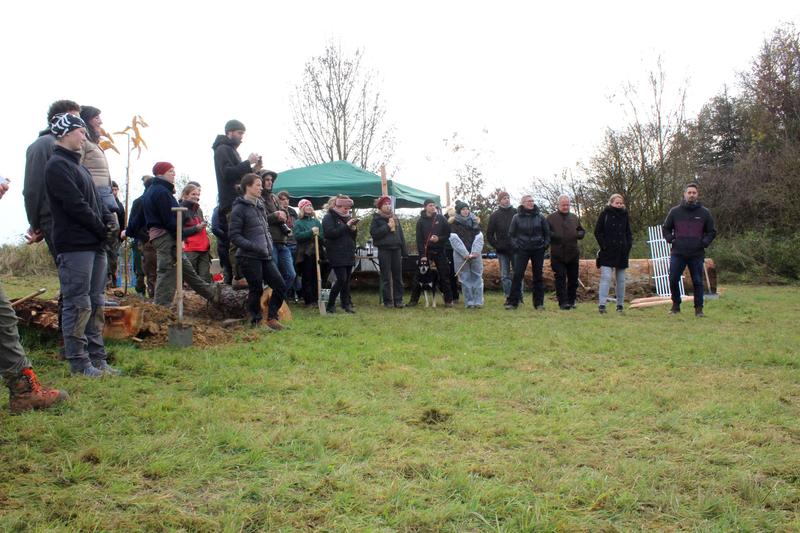 Studierende des Studiengangs Arboristik und Urbanes Waldmanagement bei der Pflanzungsaktion der Streuobstwiese