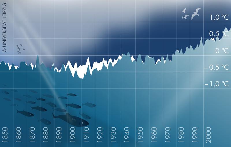 Illustration der Rekonstruktionen der globalen Mitteltemperatur nur aus Temperaturmessungen über Land (weiße Kurve), und von Temperaturmessungen an der Ozeanoberfläche (blaue Kurve). 