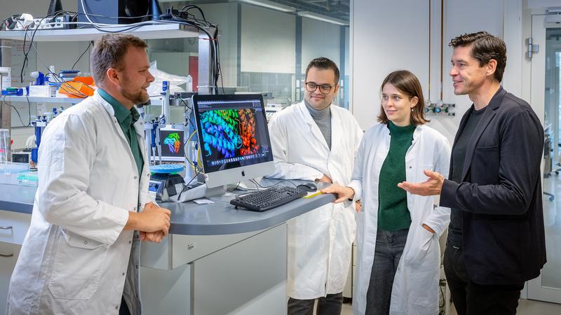 Researchers have developed a new method for the novo protein design.