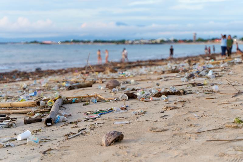 Plastik in allen Bereichen der Umwelt: Über das Problem braucht es mehr Fachwissen. Foto: iStock/ Kateryna Kukota 