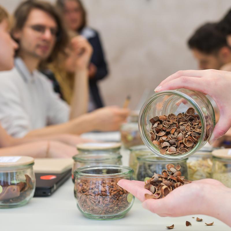 The European Bioeconomy University has been driving forward the bioeconomy in Europe for 5 years. 