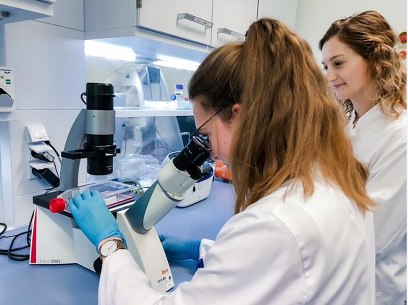 Wissenschaftlerinnen der Arbeitsgruppe experimentelle pädiatrische Onkologie und Tumorepigenetik. 