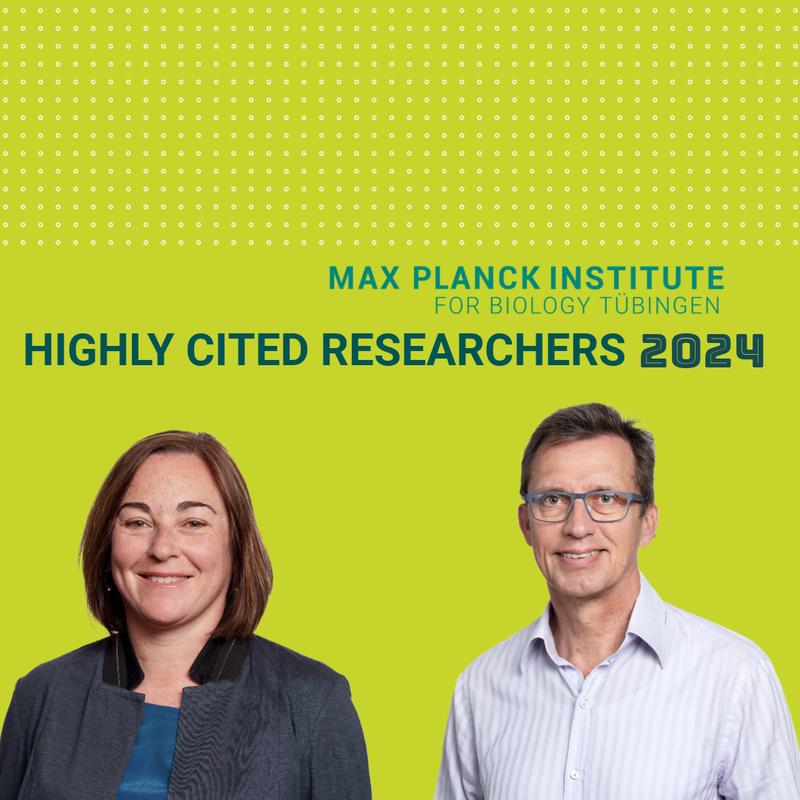 Ruth Ley and Detlef Weigel (from left to right) are listed among the “Highly Cited Researchers” 2024 for their eleventh consecutive year 