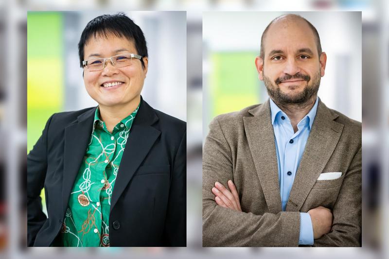 Prof’in Dr. Minh Nguyen und Prof. Dr. Carsten Sauer erhalten jeweils den Consolidator Grant des Europäischen Forschungsrats (ERC). Sie untersuchen finanzielle Risiken in Asien und Lohnunterschiede in Europa.