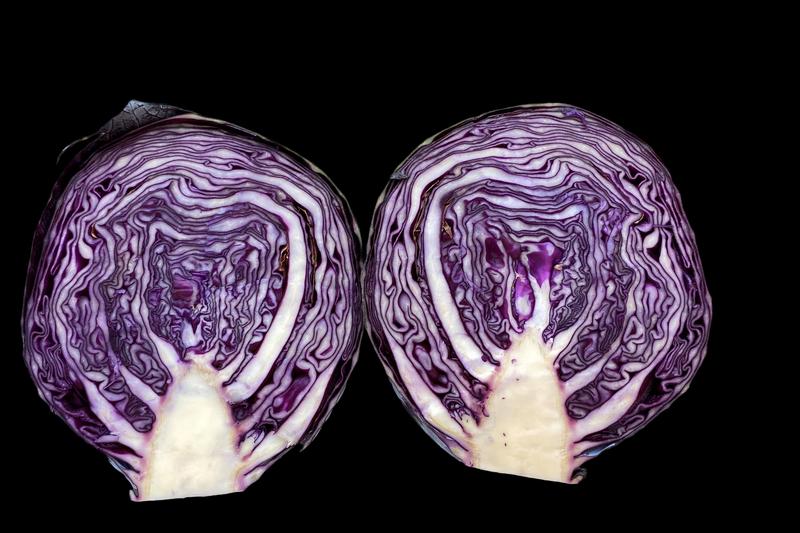 Seasonal variation: Amount and composition of bioactive compounds in red cabbage are dependent on the time of harvest. 