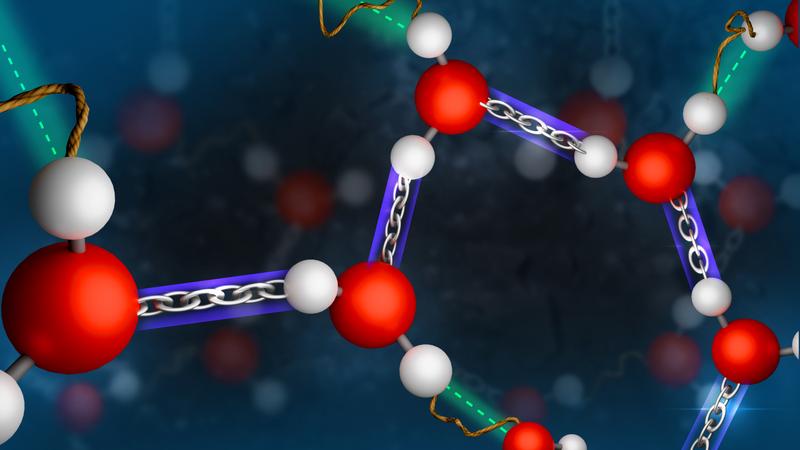 The bonds between neighboring water molecules are not purely randomly distributed: Each water molecule forms a strong and a weak bond. This could be a key to explain anomalies of water.