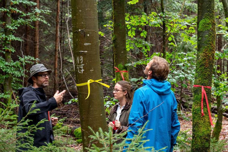 In the context of climate change, it is crucial to consider long-term developments and strategically plan forest management. The iLand tool enables the simulation of long-term developments for large forest areas. Pictured here: Prof. Dr. Rupert Seidl
