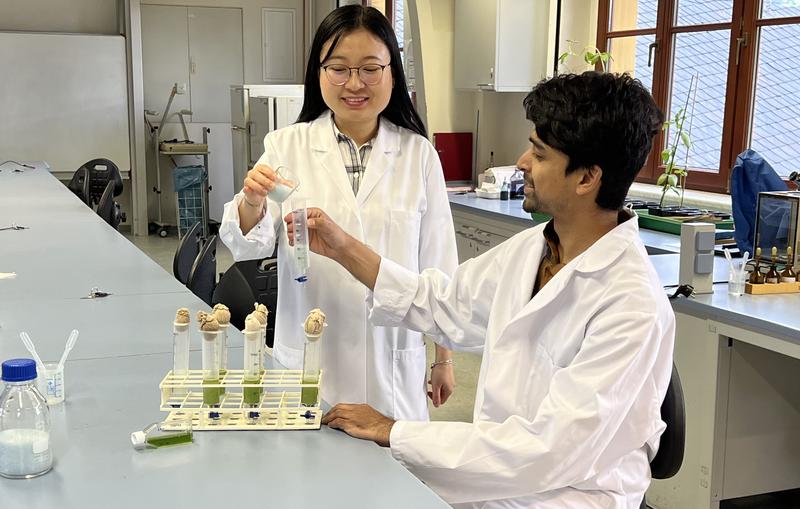 Dr Trang Vuong (l.) and Dr Prateek Shetty from the University of Jena show the growth of the green alga in the spatially structured 3D environment in comparison to conventional cultivation conditions in the laboratory.