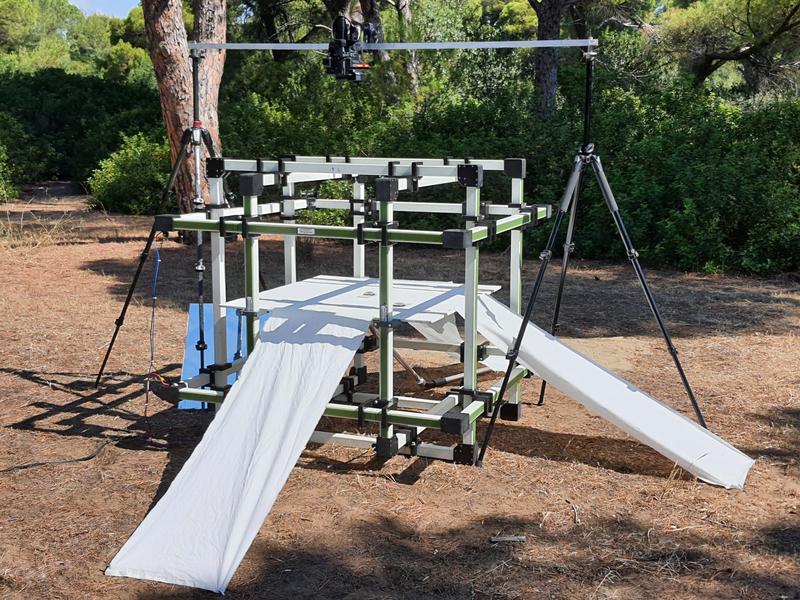 During field experiments in Greece, the researchers set up a 3D Helmholtz coil above an ant nest and used it to manipulate the magnetic field. Ants that emerged from the nest reached an experimental platform, where they were filmed.