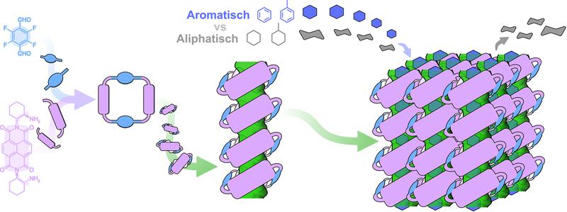 Übersichtsgraphik zeigt schematisch die Bauteile, aus denen das rechteckige Squareimin (violett-blau) aufgebaut wird. Die Squareimine orientieren sich im Festkörper (Mitte) so, dass sich die Hohlräume verbinden und ein Porennetzwerk (grün) entsteht. 