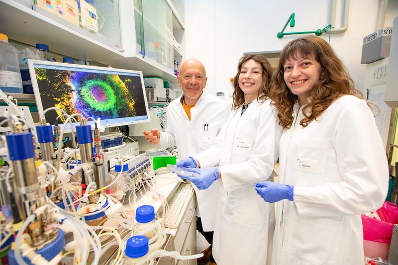 Dr. Robert Zweigerdt, Dr. Miriana Dardano und Dr. Lika Drakhlis (von links) haben ein vielschichtiges blutbildendes Mini-Herz entwickelt. 
