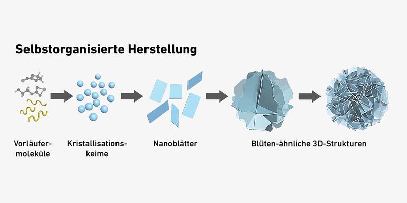 Die Teilchen ähneln winzigen Papierblumen oder Sandrosen und setzen sich selbst zusammen.