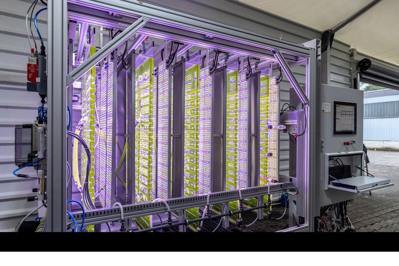 Mikroalgen in einem neuartigen Photobioreaktorsystem binden CO2 und produzieren daraus eine pflanzenstärkende Biomasse.
