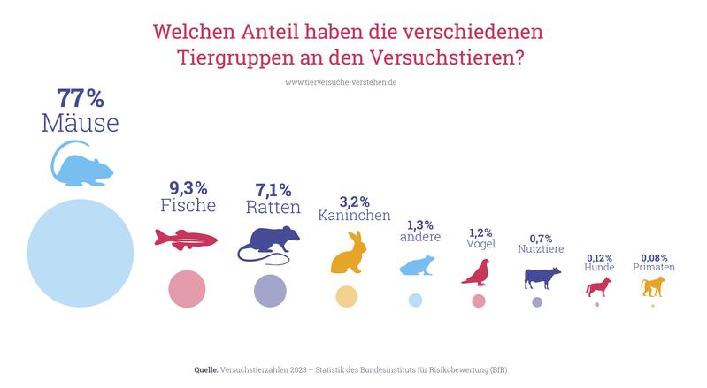 Grafik: Welchen Anteil haben die verschiedenen Tiergruppen an den Versuchstieren?